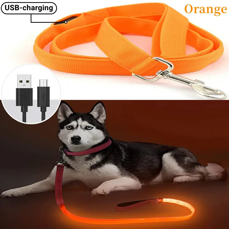 Dog LED Leash 