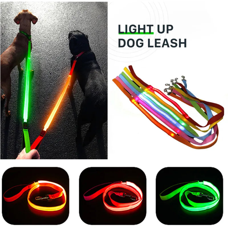 Dog LED Leash 